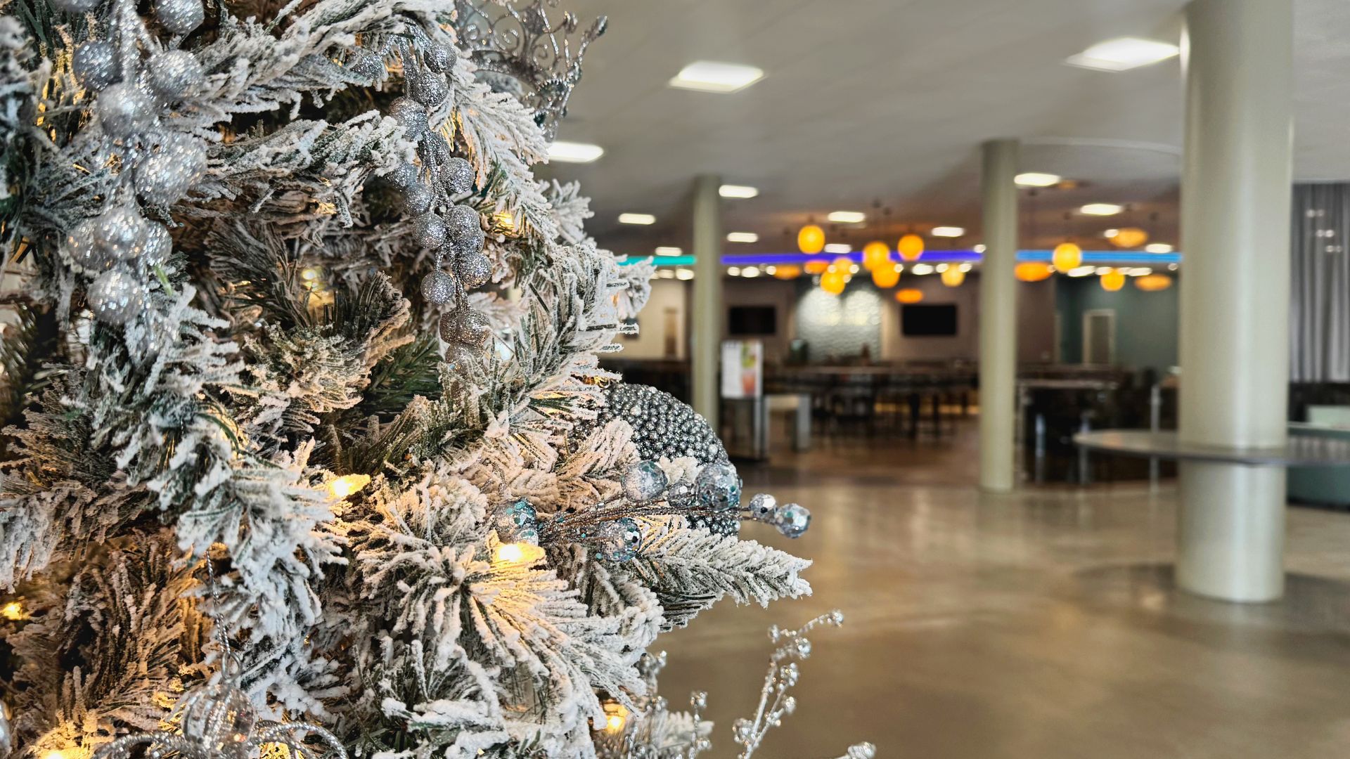 christmas tree on the lobby